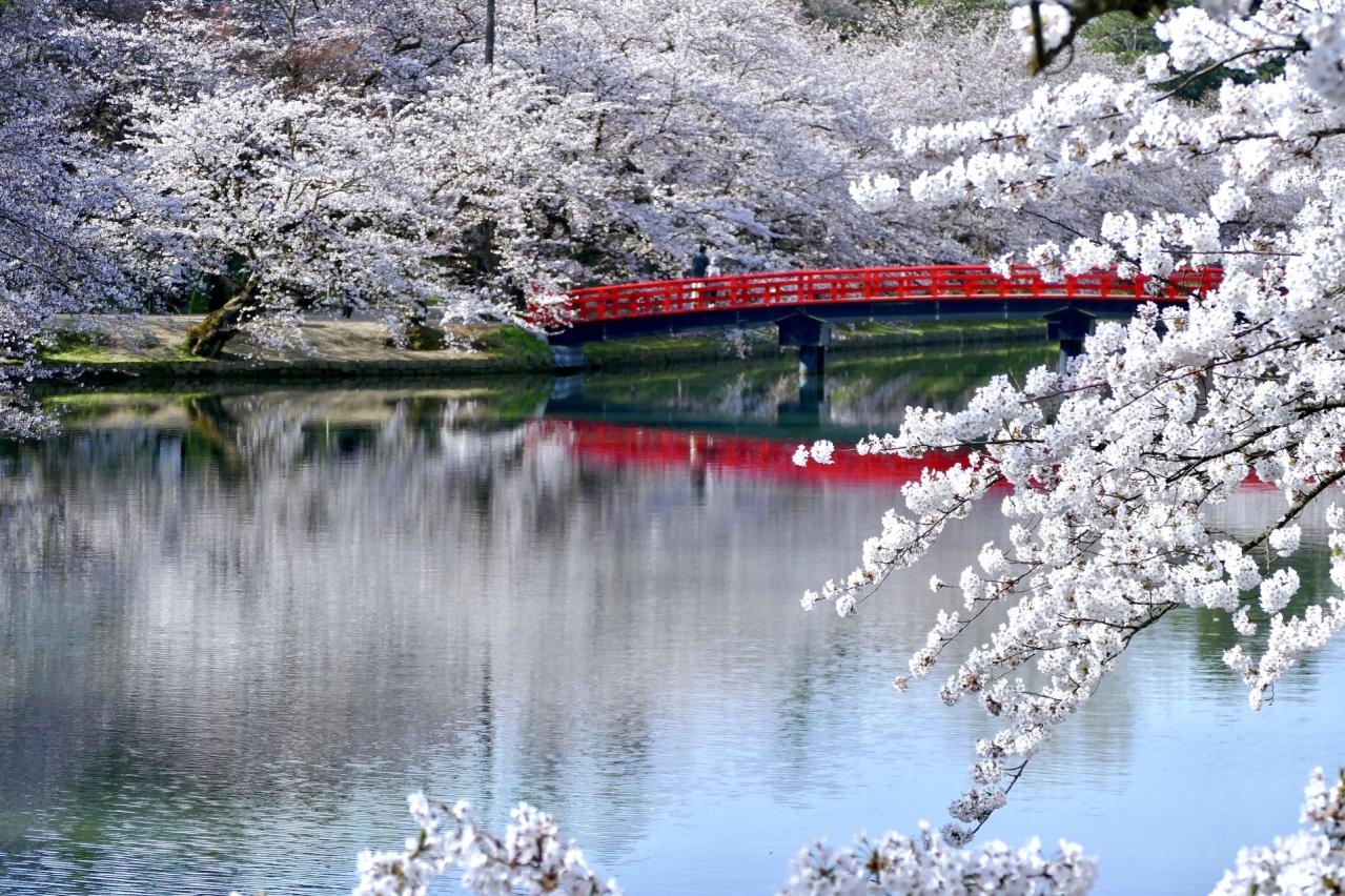 弘前公園