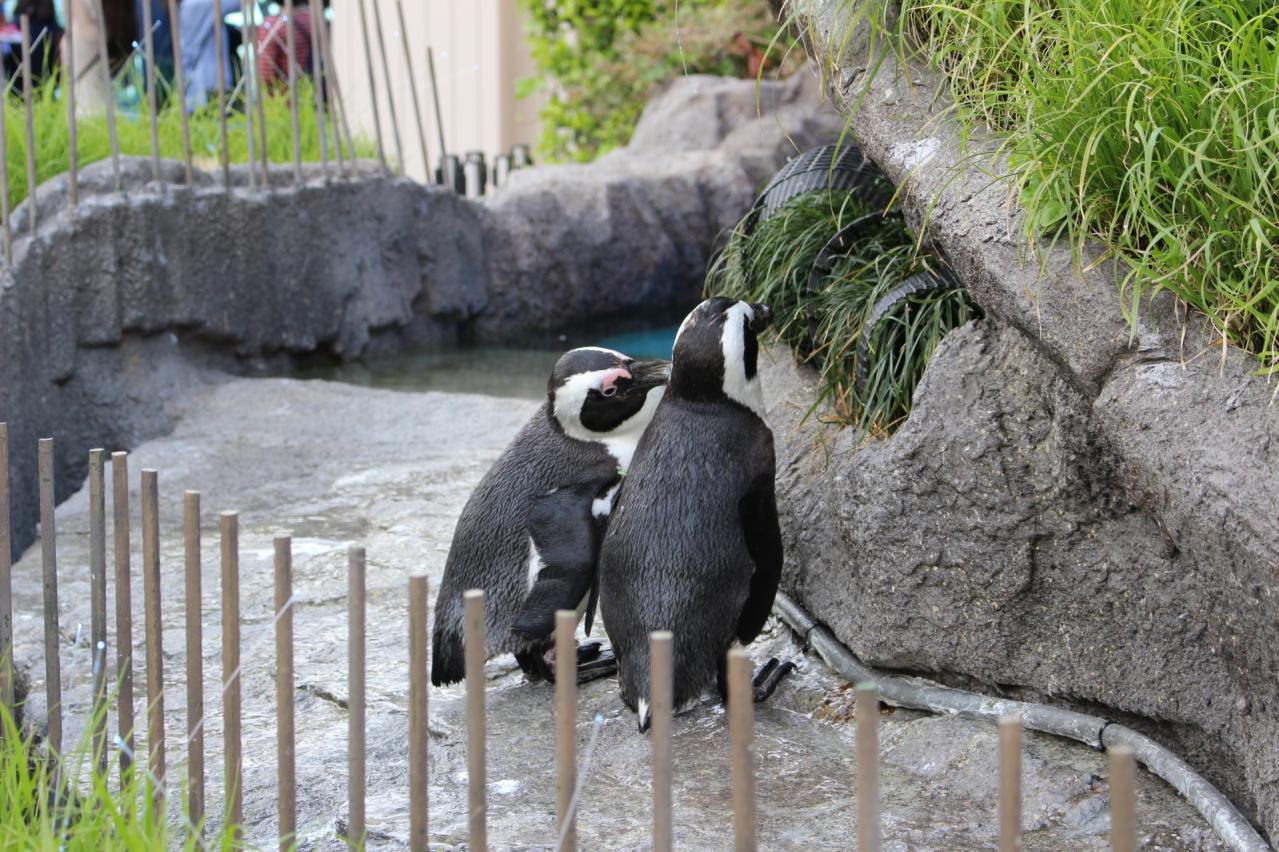 サンシャイン水族館