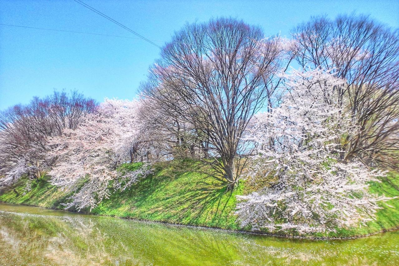 霞城公園