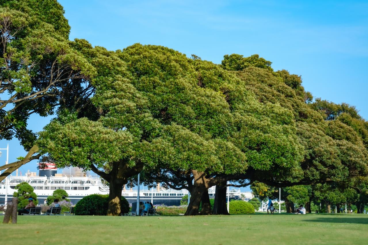 山下公園