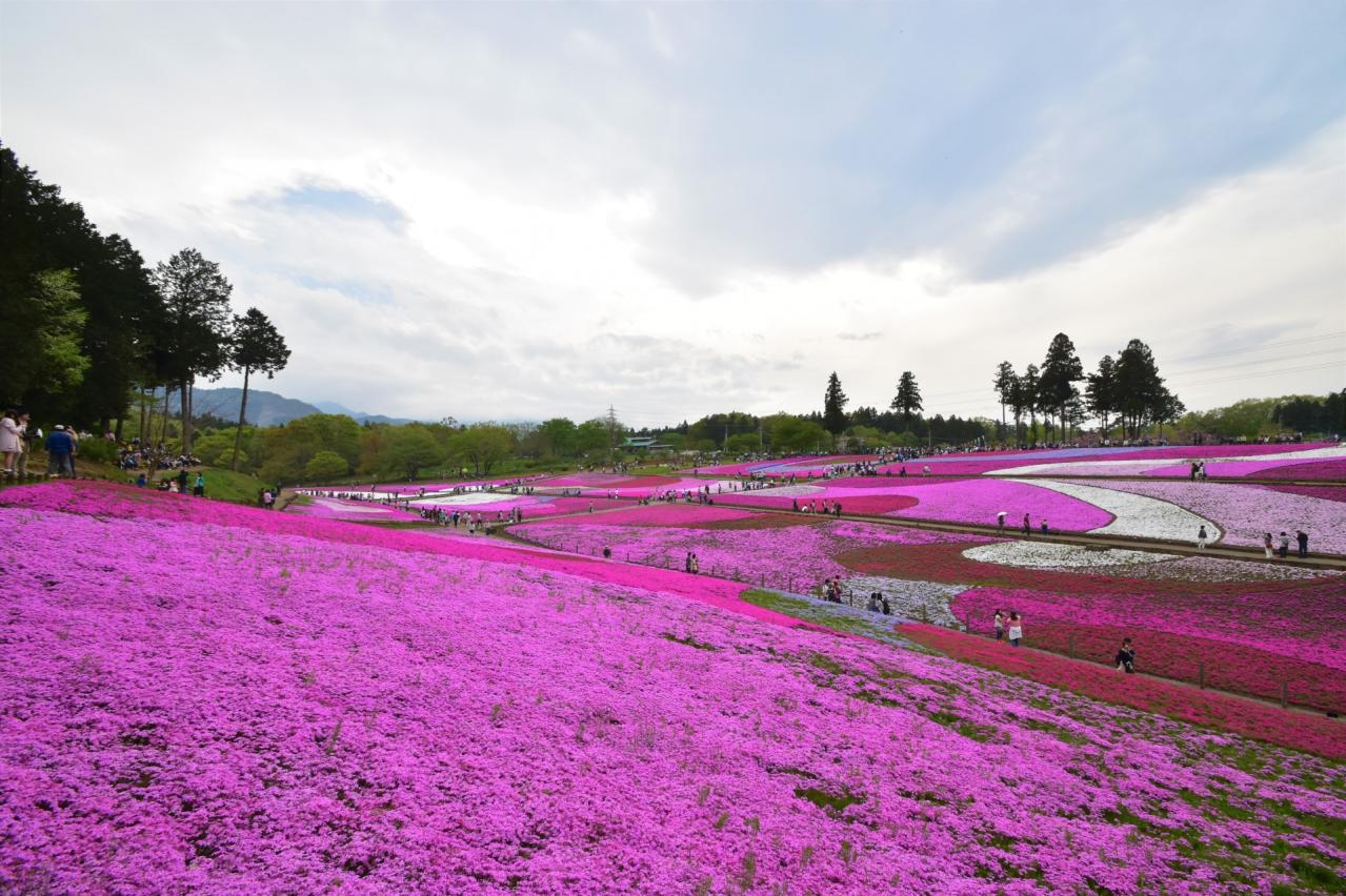 羊山公園