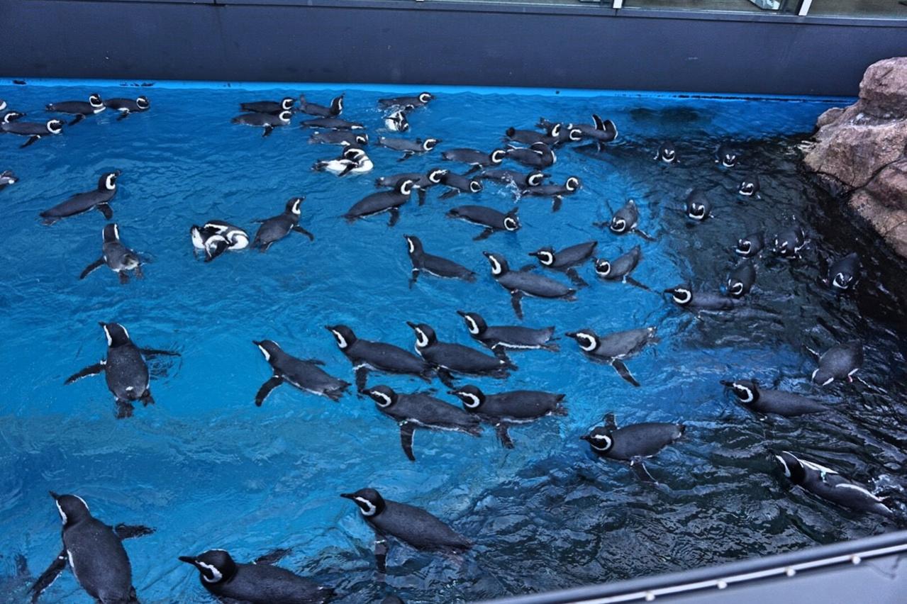 新潟市水族館 マリンピア日本海