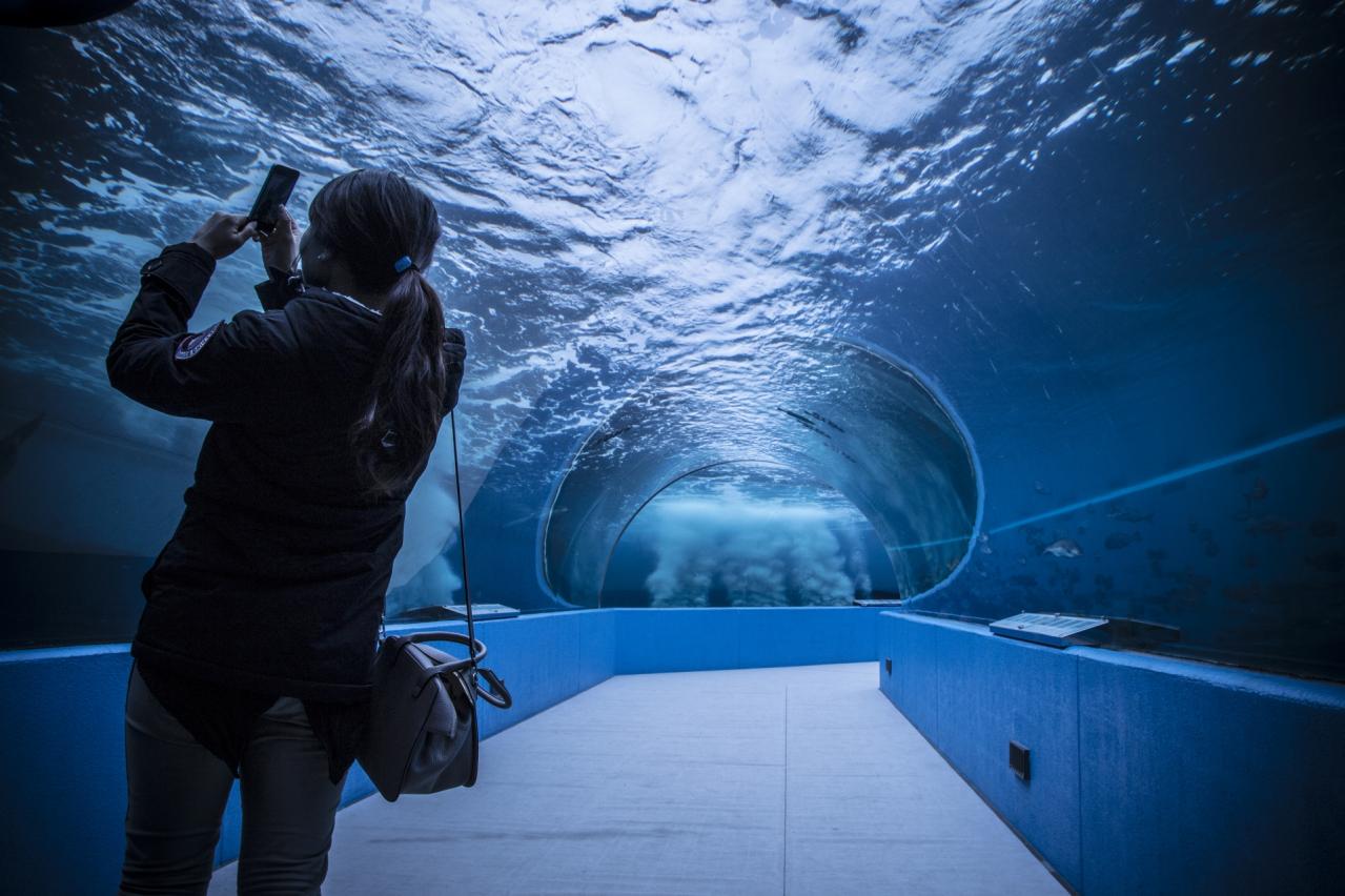 のとじま水族館