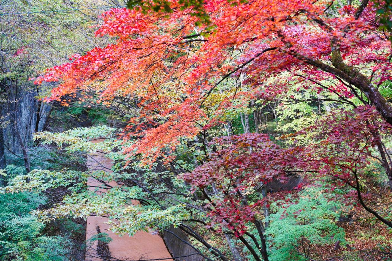 伊香保 紅葉