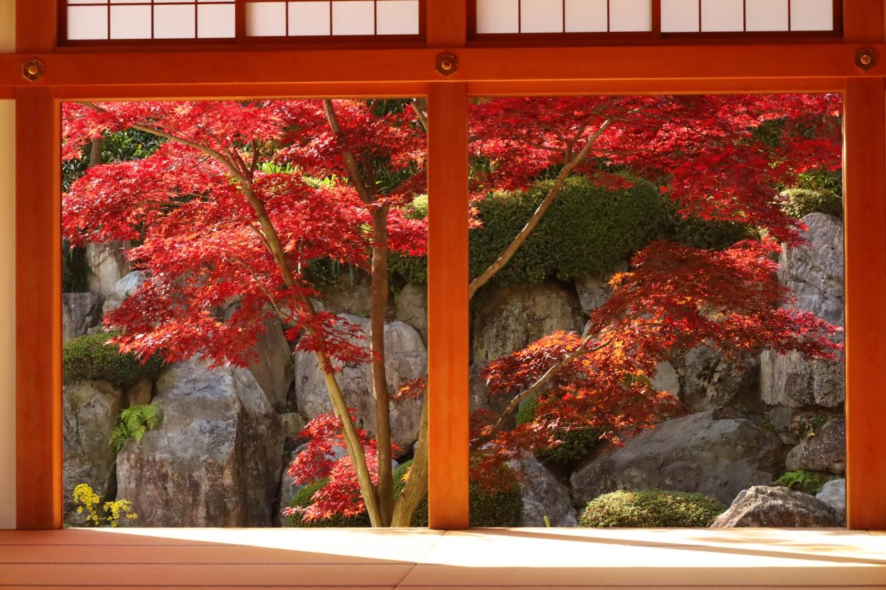 宝徳寺の床紅葉