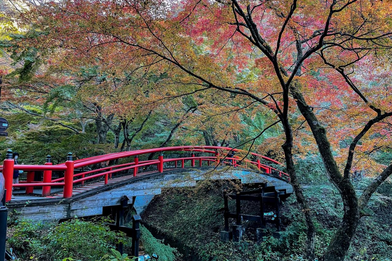 伊香保 河鹿橋