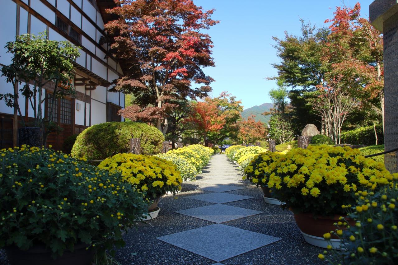 宝徳寺 紅葉