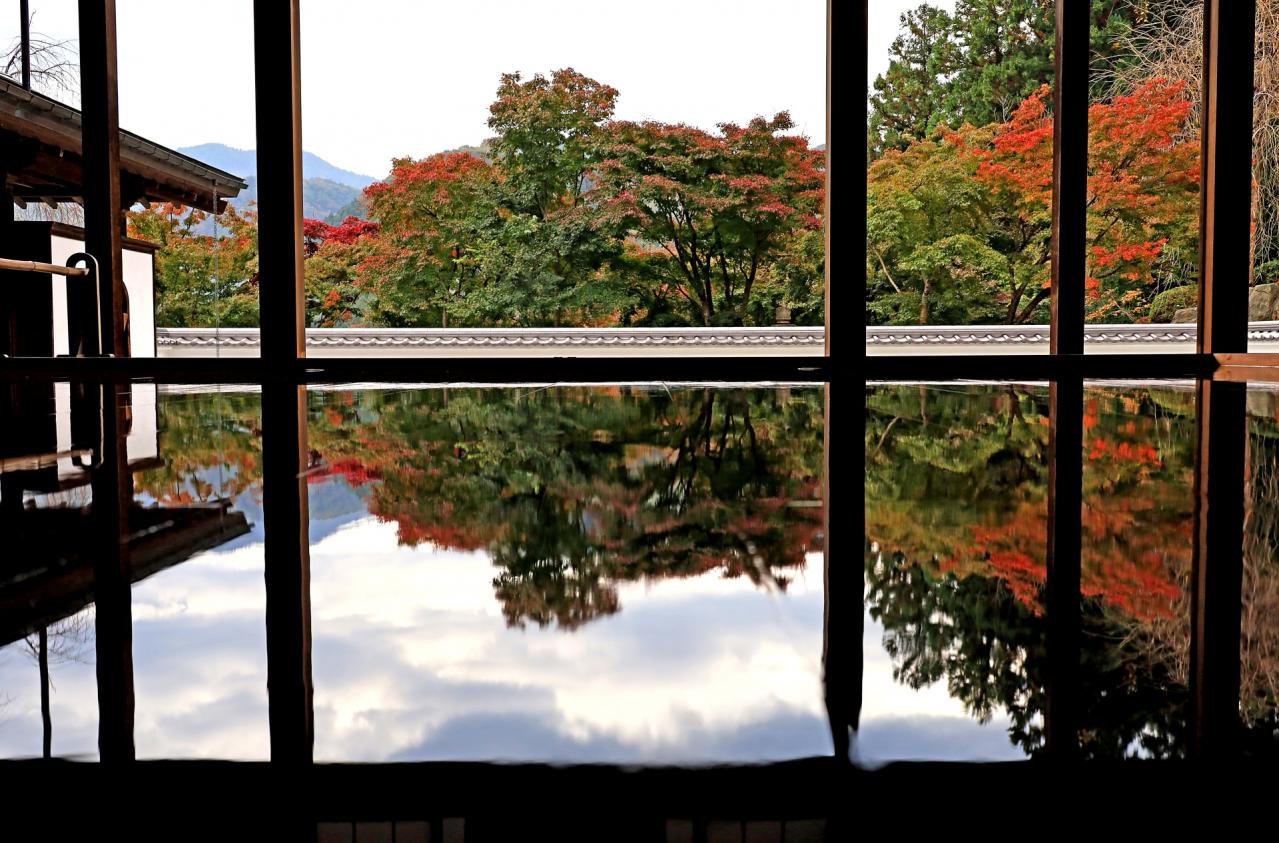 宝徳寺の床紅葉