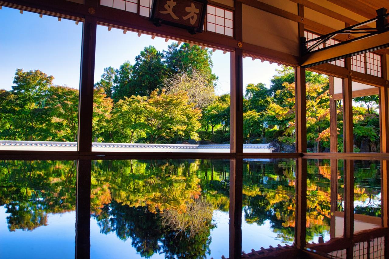 宝徳寺の床紅葉