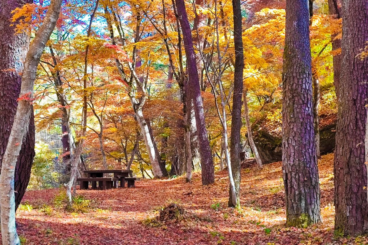 昇仙峡 天鼓林の紅葉