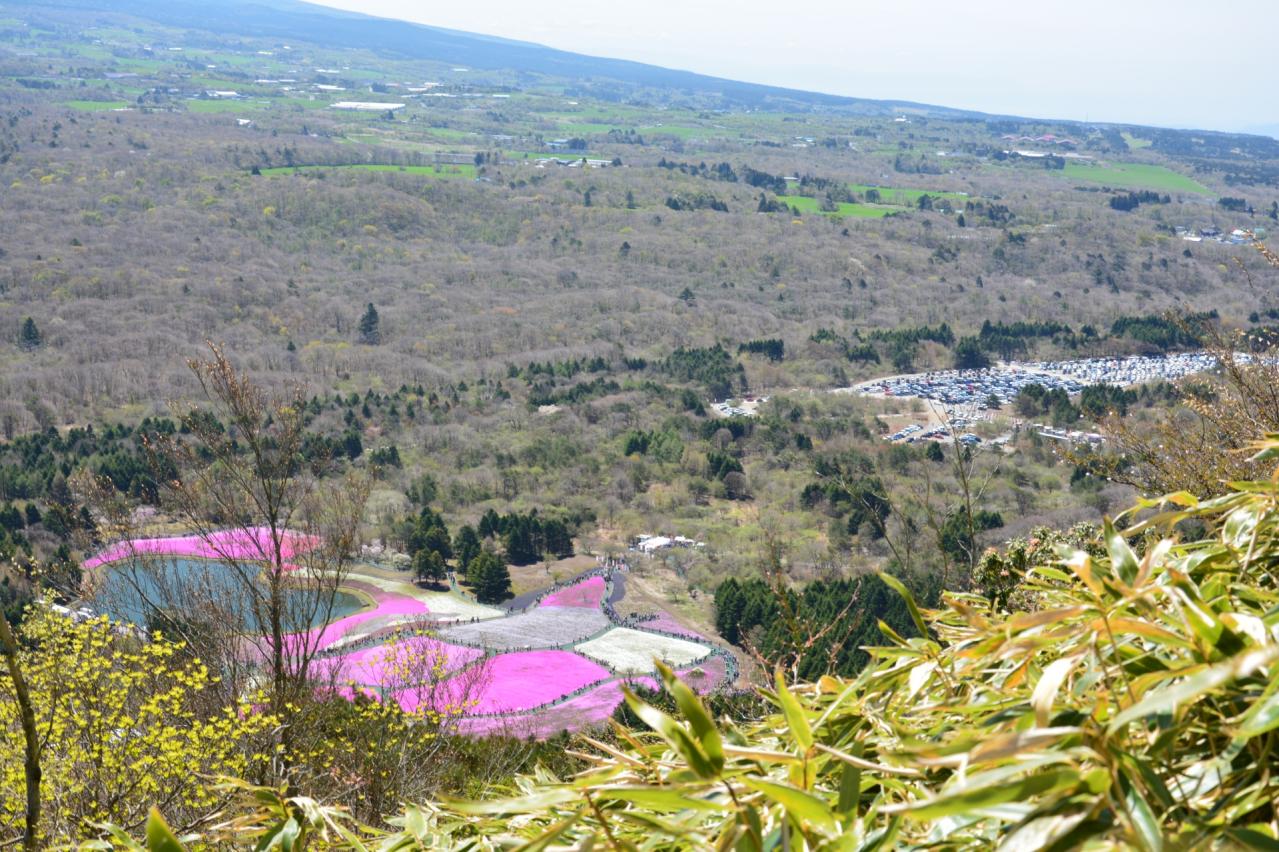 竜ヶ岳から見る富士芝桜まつり