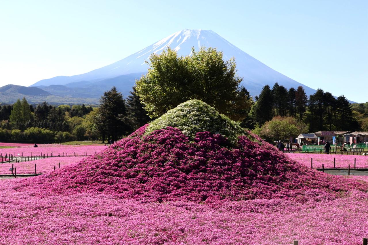 二つの富士山