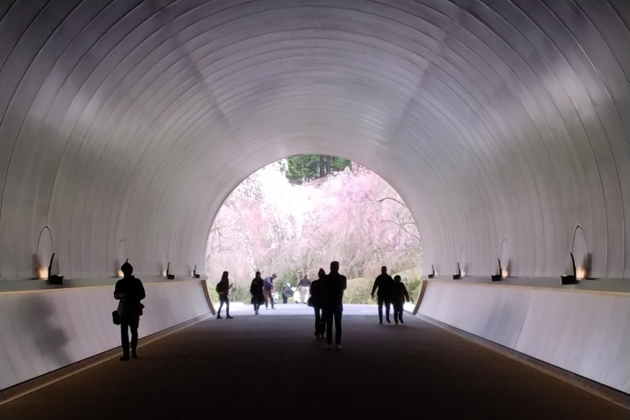 MIHO MUSEUM