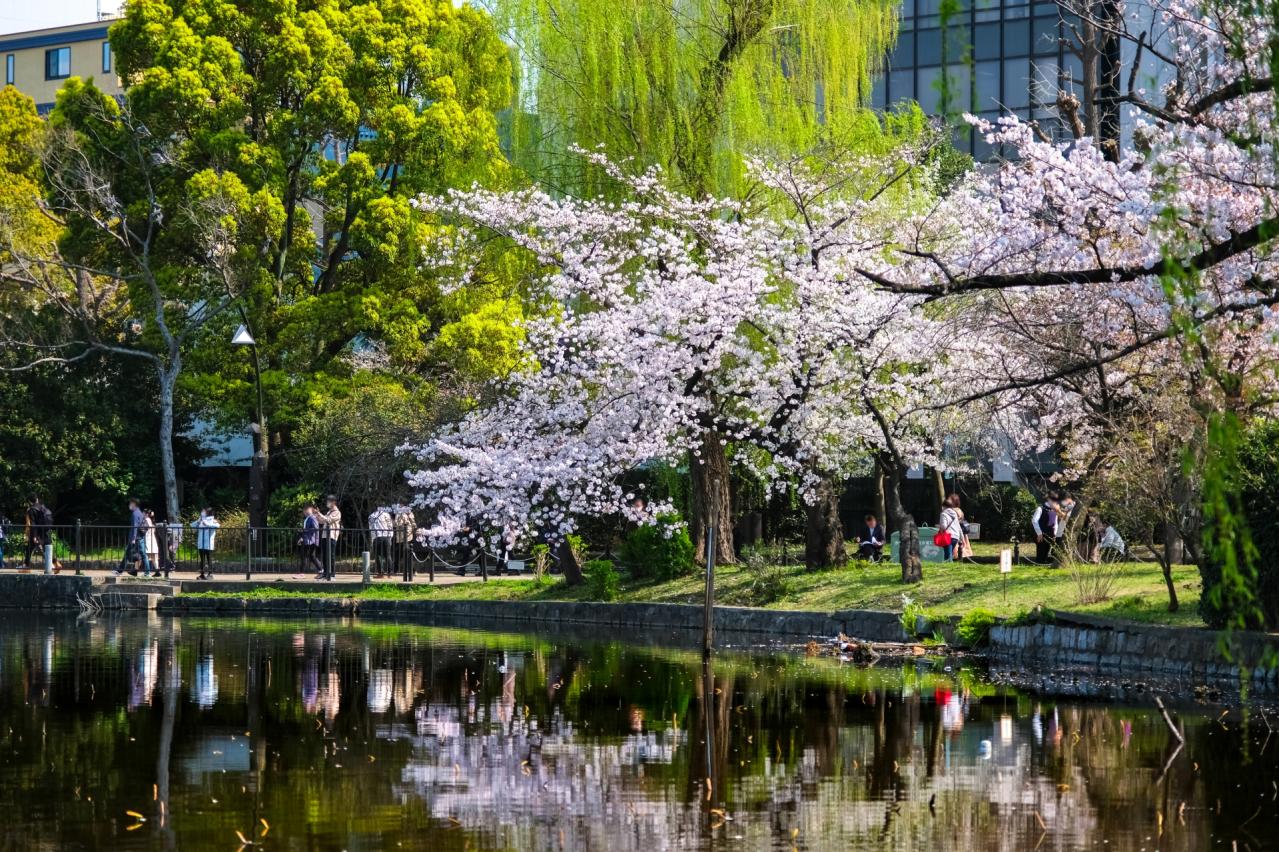 上野公園の風景