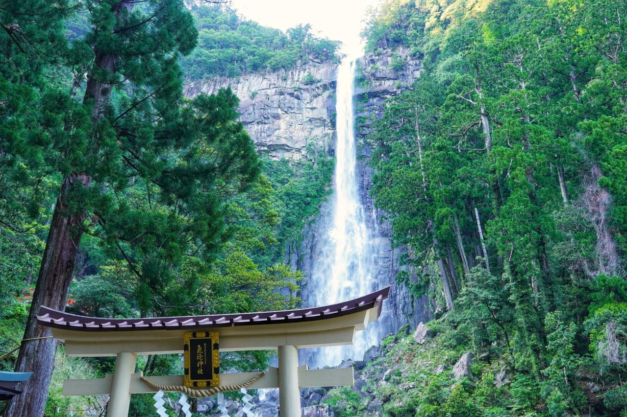 飛龍神社鳥居