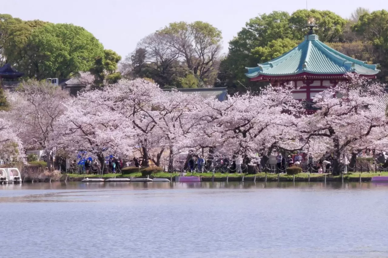 上野恩賜公園