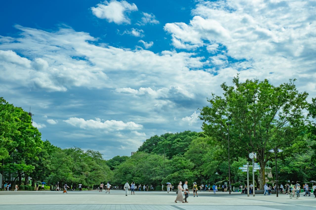 夏の上野恩賜公園