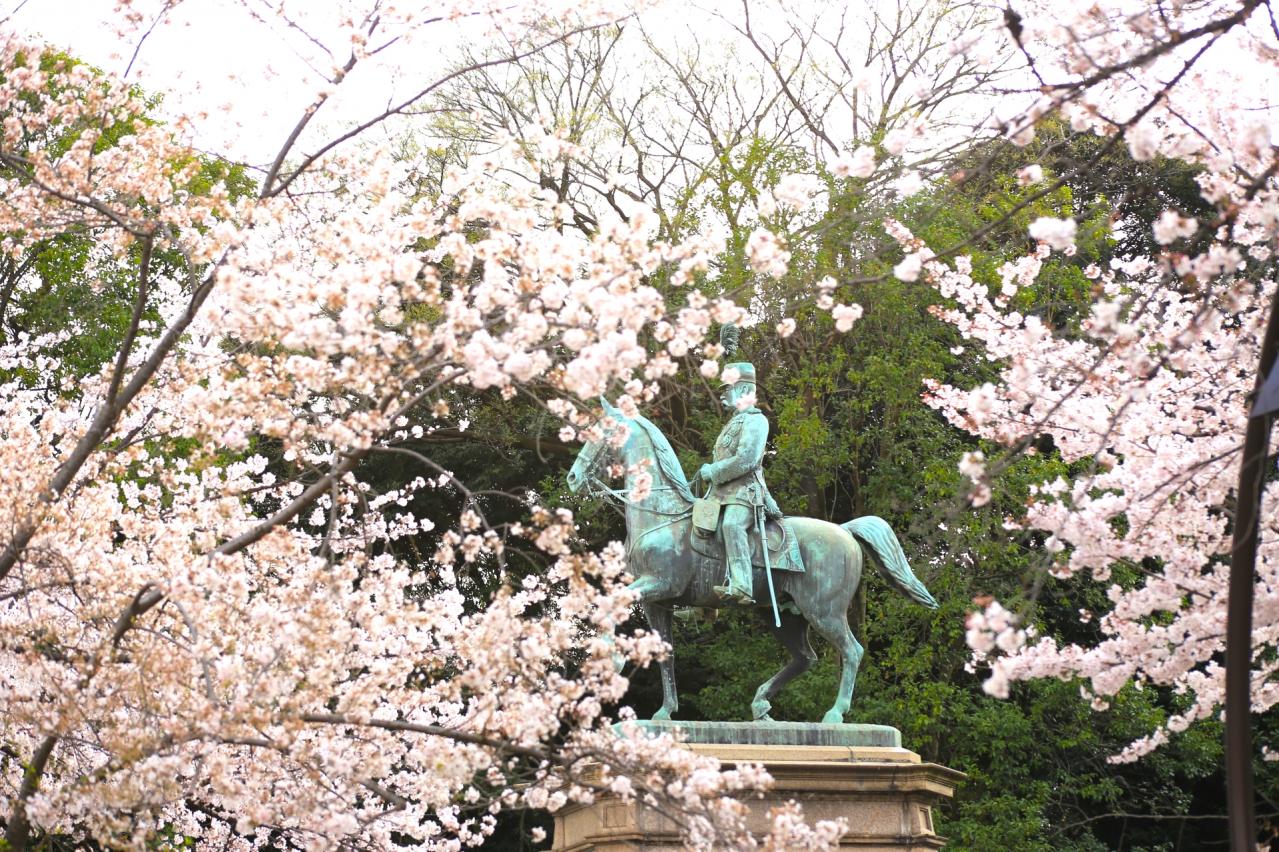 満開の桜