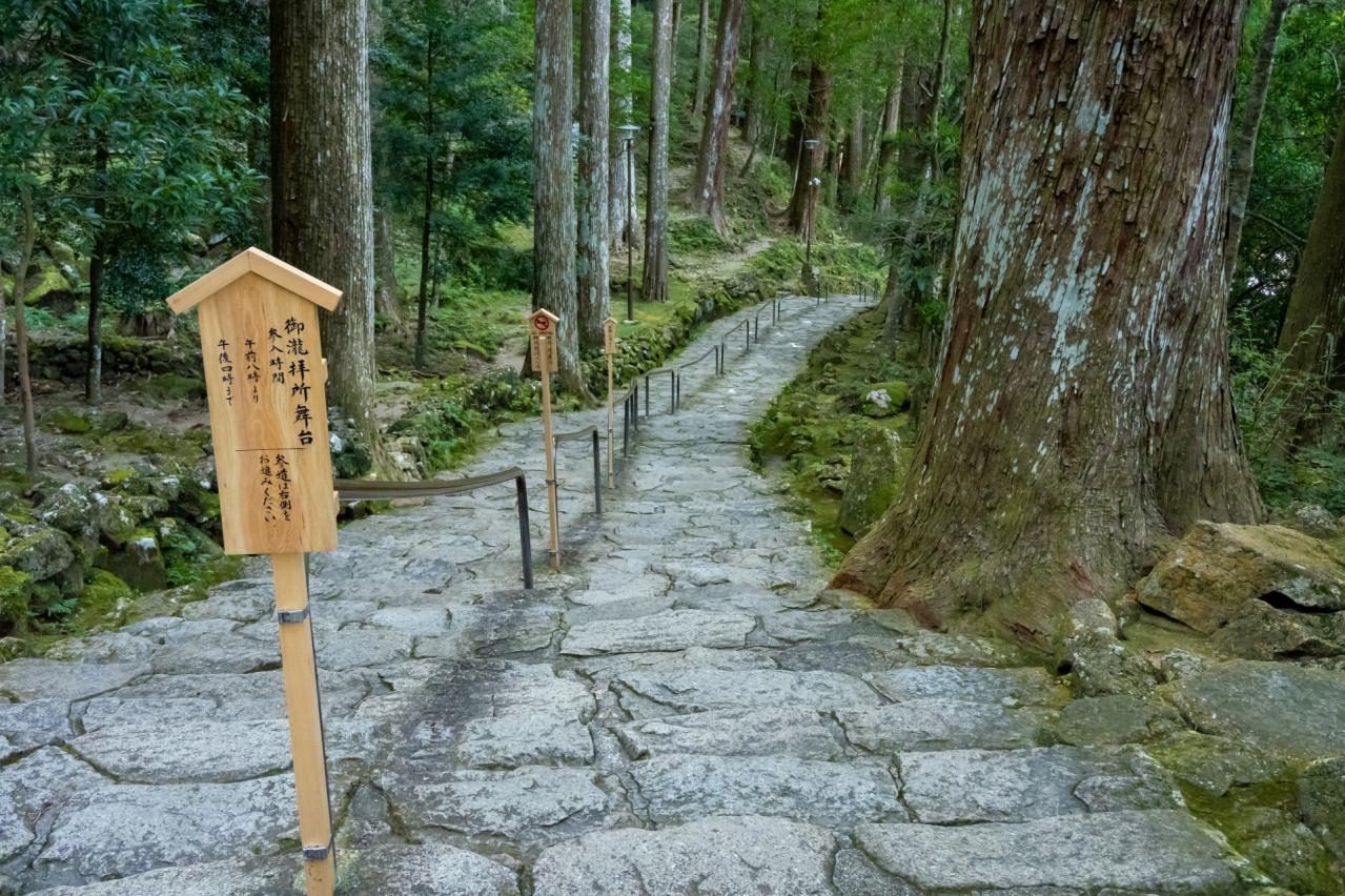 飛瀧神社の参道