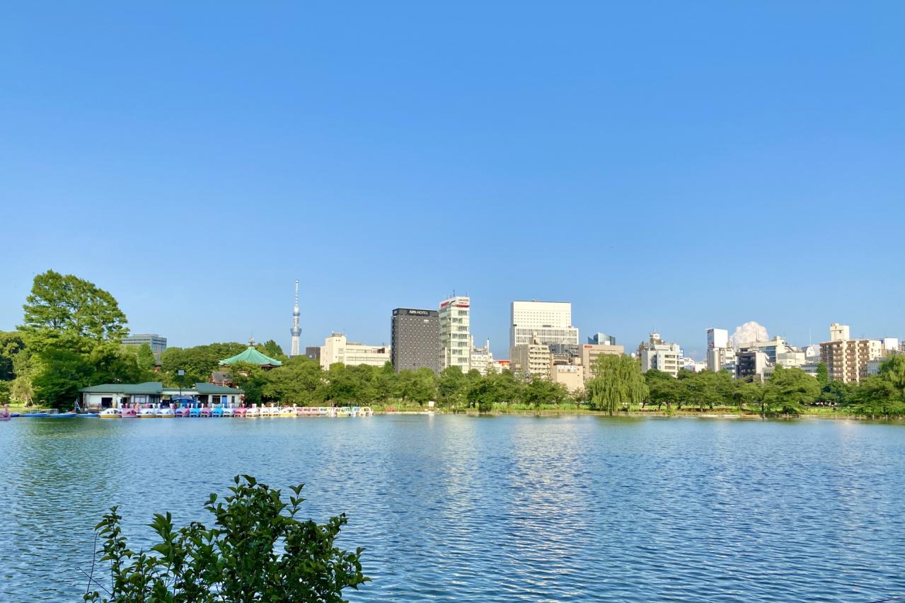 上野公園の風景