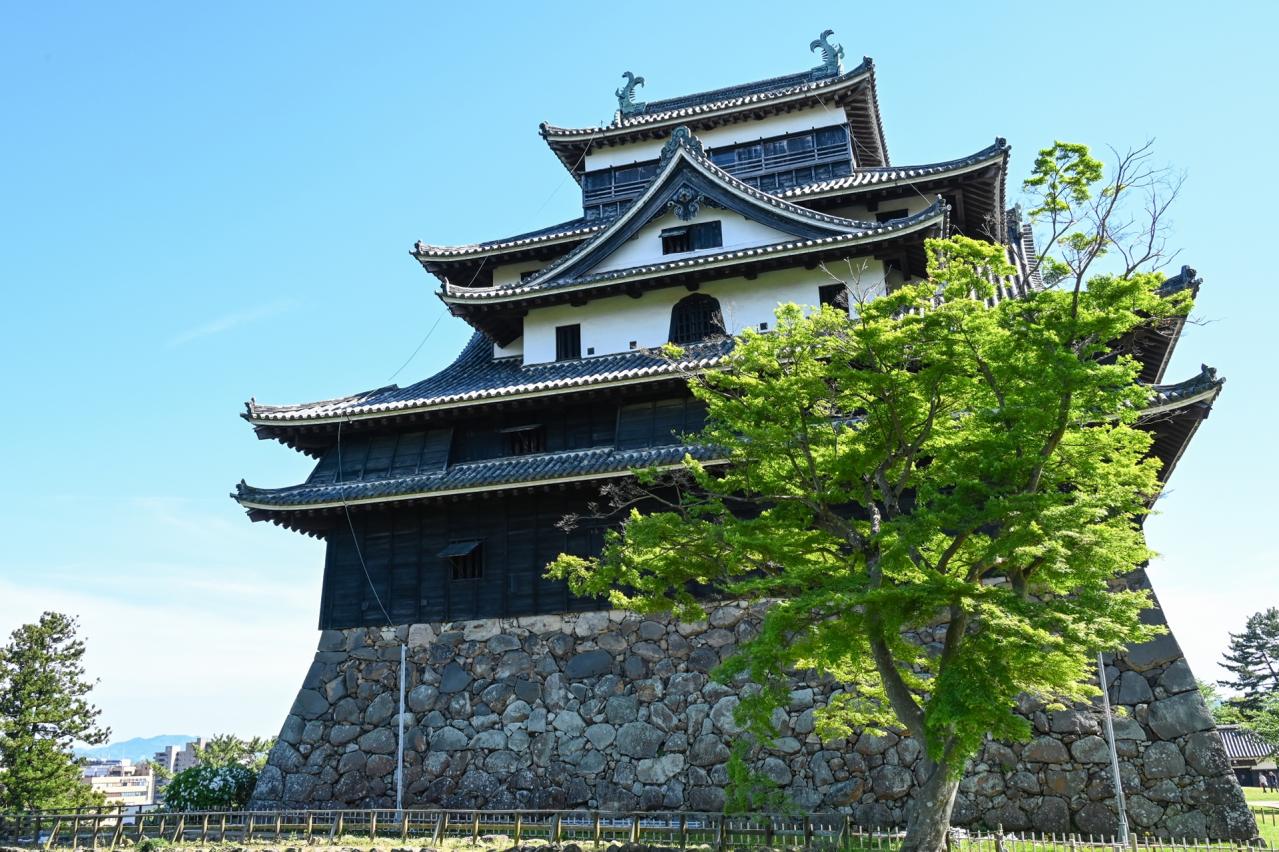 松江城天守閣　裏側より