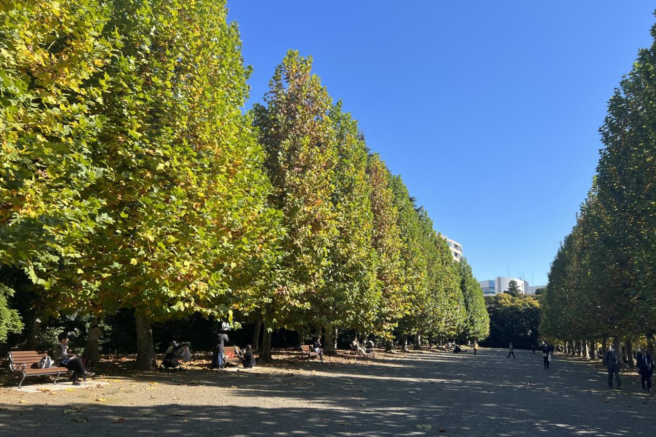 新宿御苑　紅葉