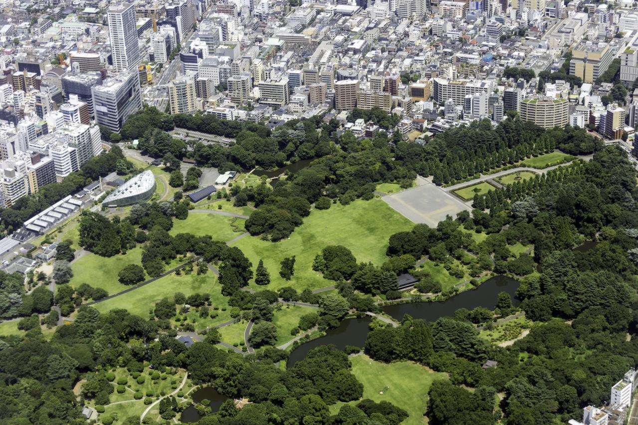 東京都新宿区内藤町付近を空撮