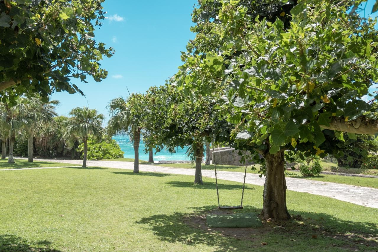大浜海浜公園 木のブランコ