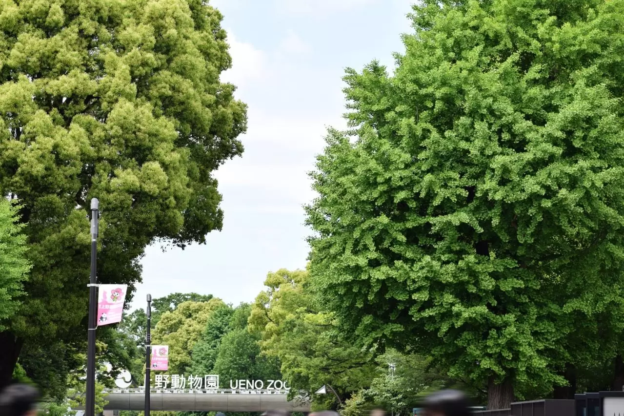 上野動物園