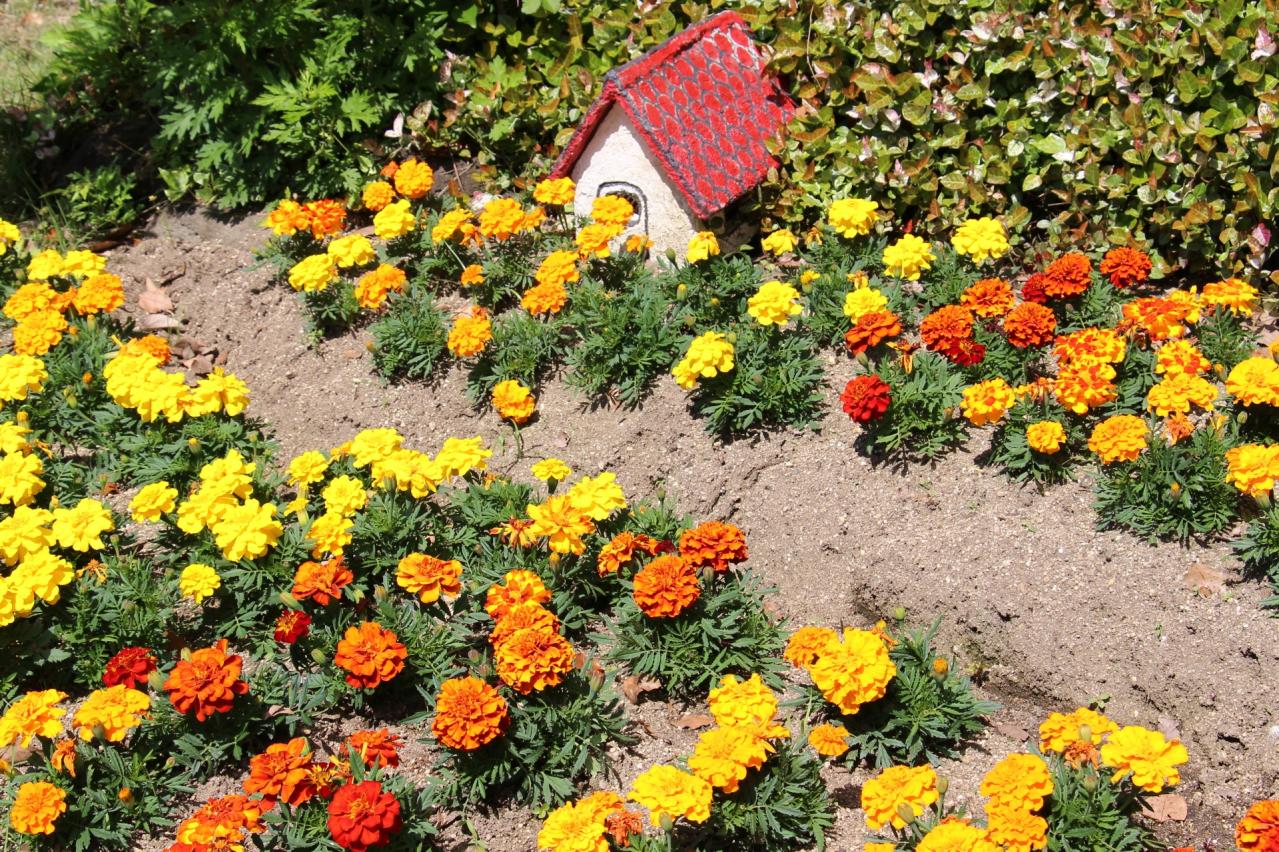 花博記念公園鶴見緑地