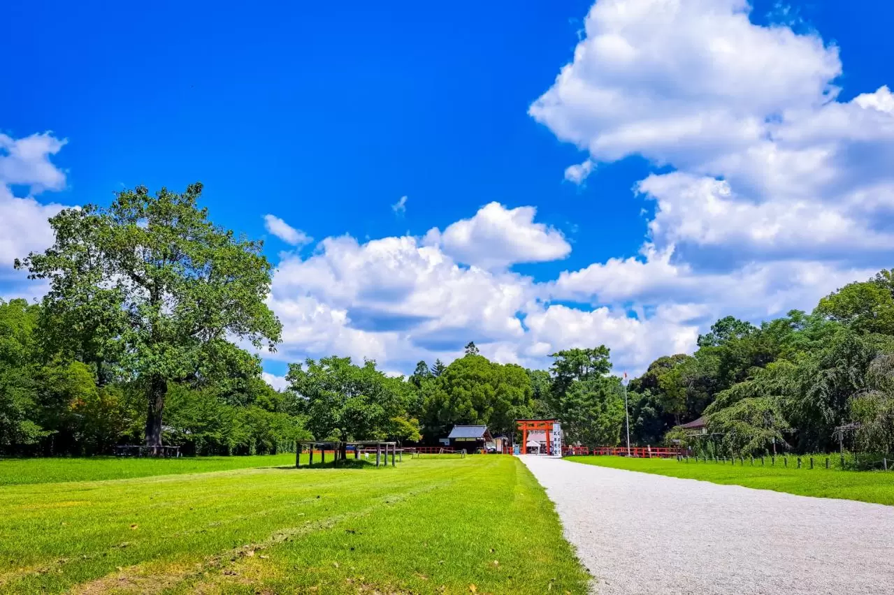 京都 上賀茂神社の参道