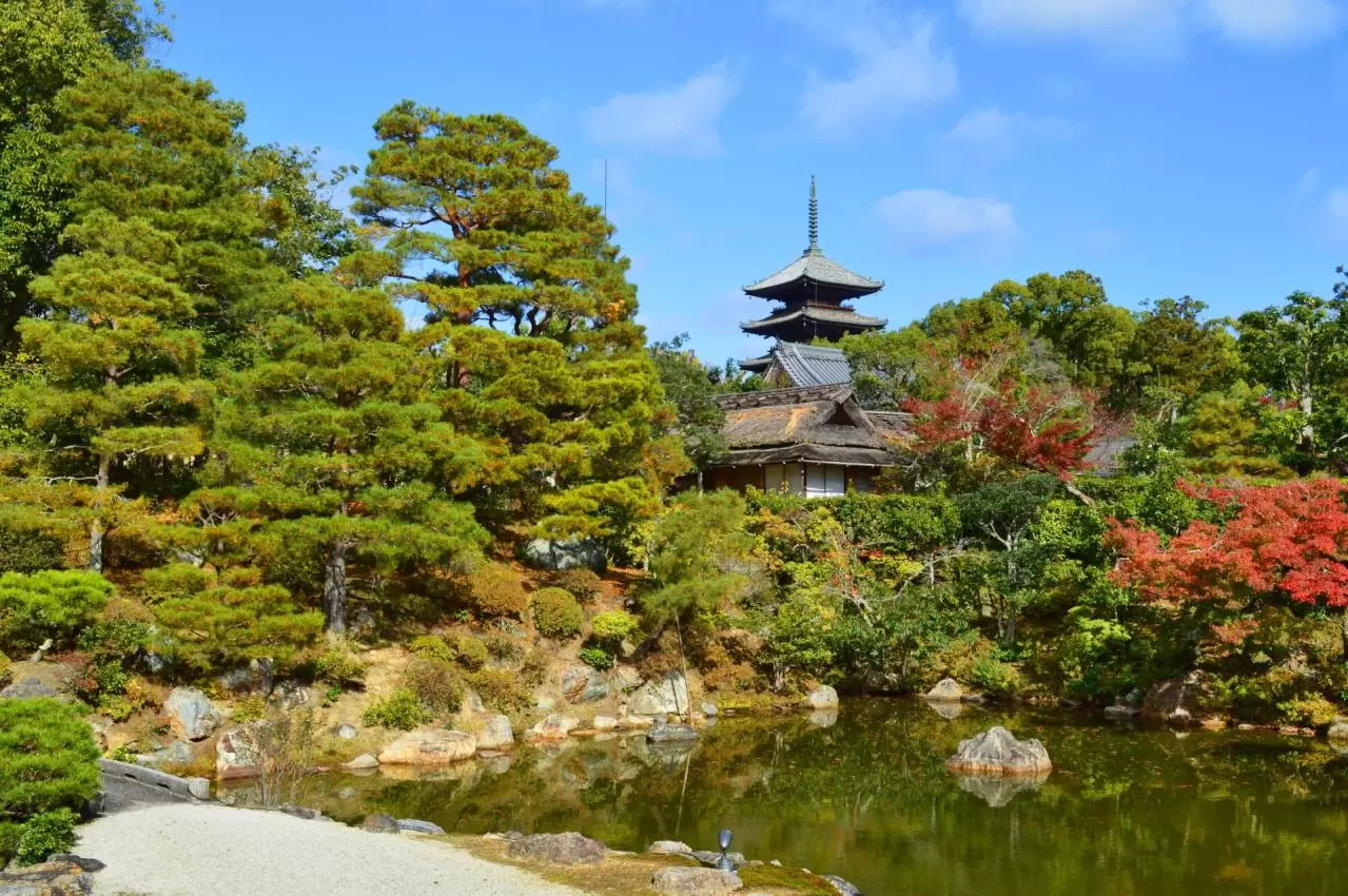 京都市仁和寺の宸殿北庭から五重塔を望む