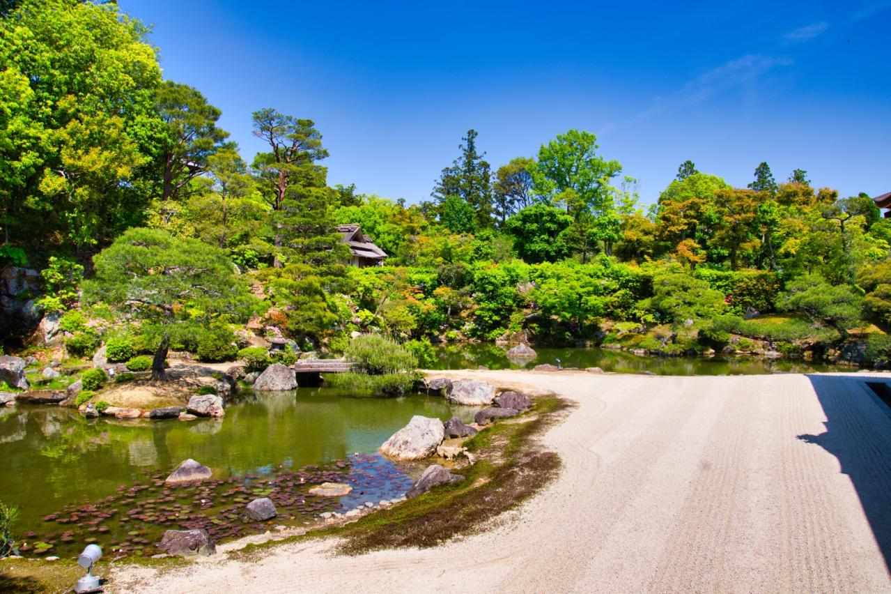 仁和寺のお池のあるお庭 京都