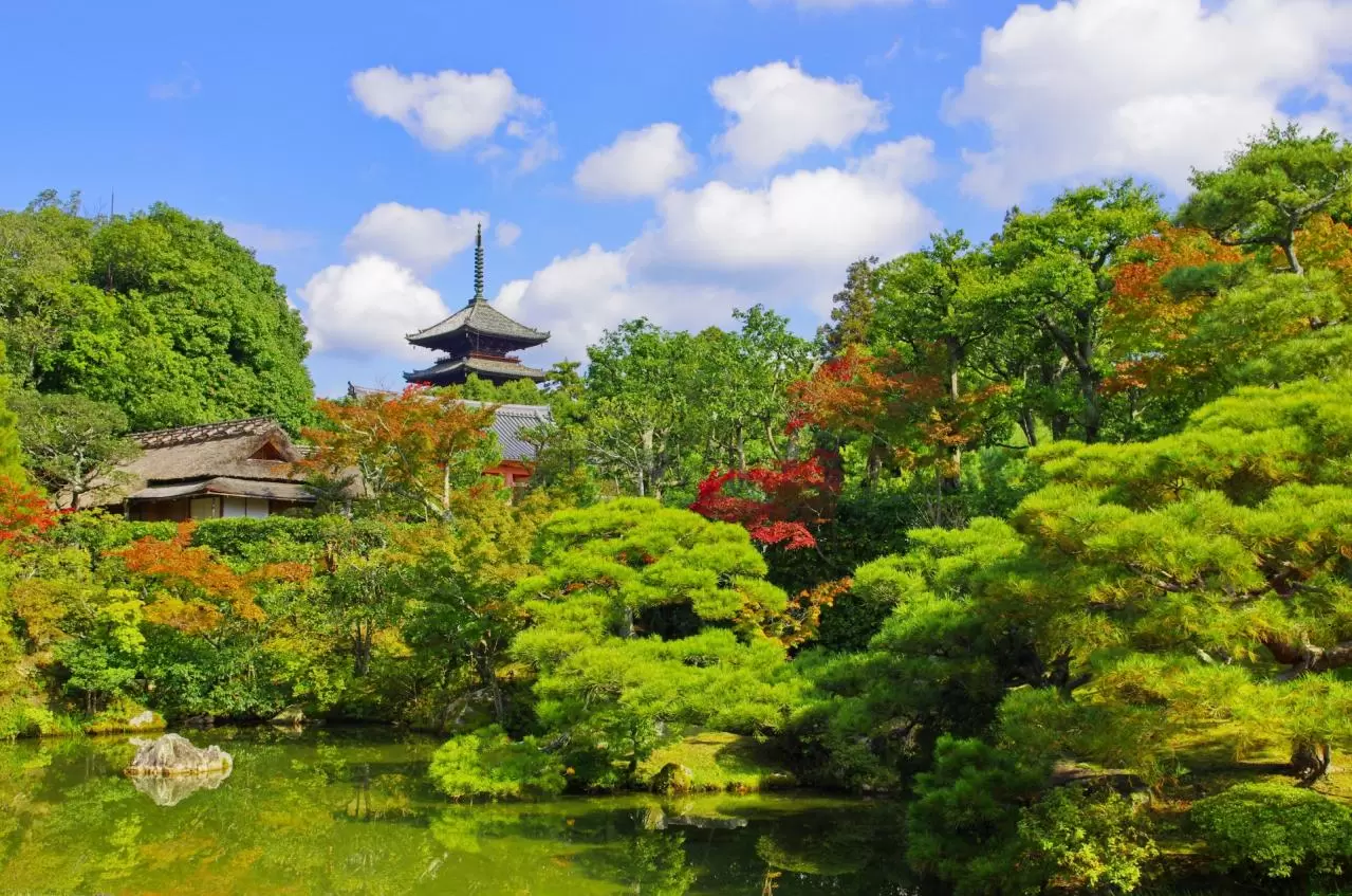 京都の紅葉　仁和寺