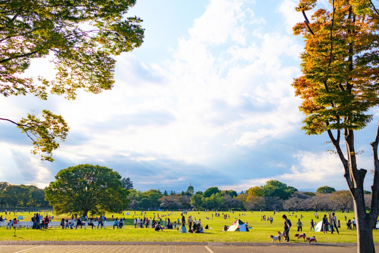 秋の国営昭和記念公園