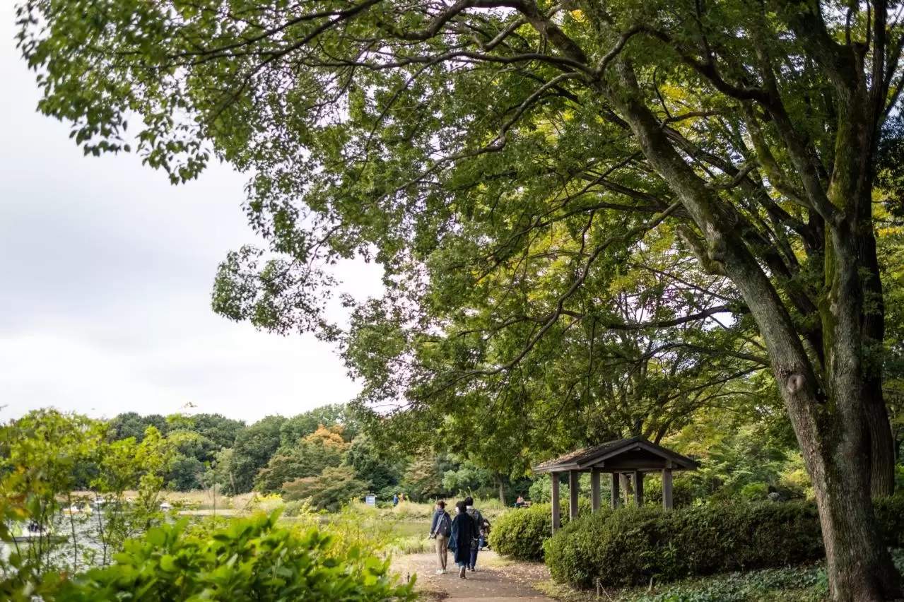  秋の国営昭和記念公園