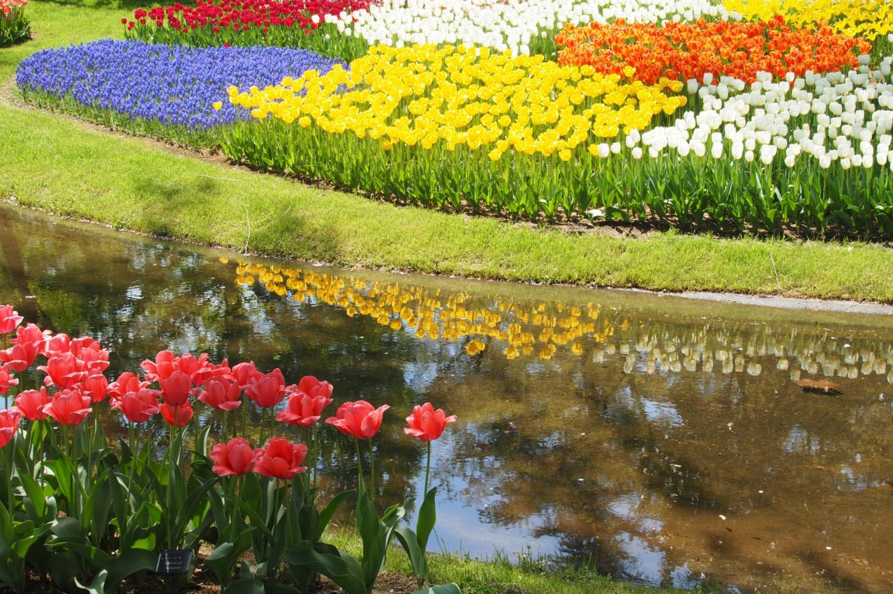国営昭和記念公園