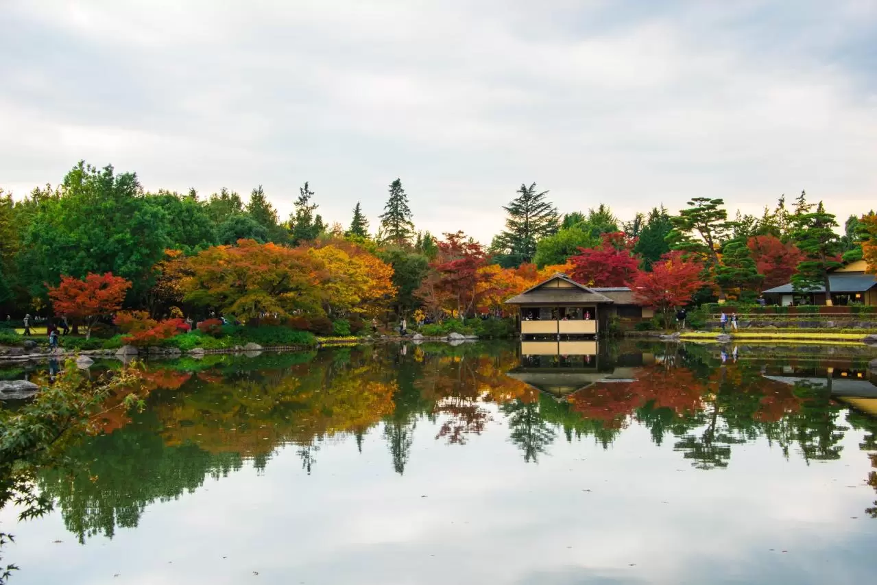  昭和記念公園の紅葉