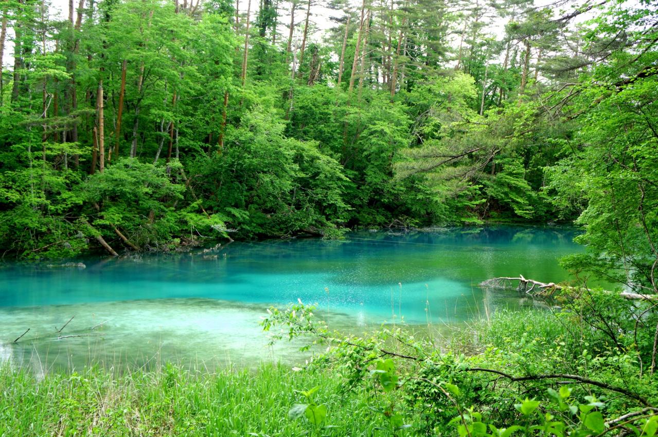 福島県 五色沼