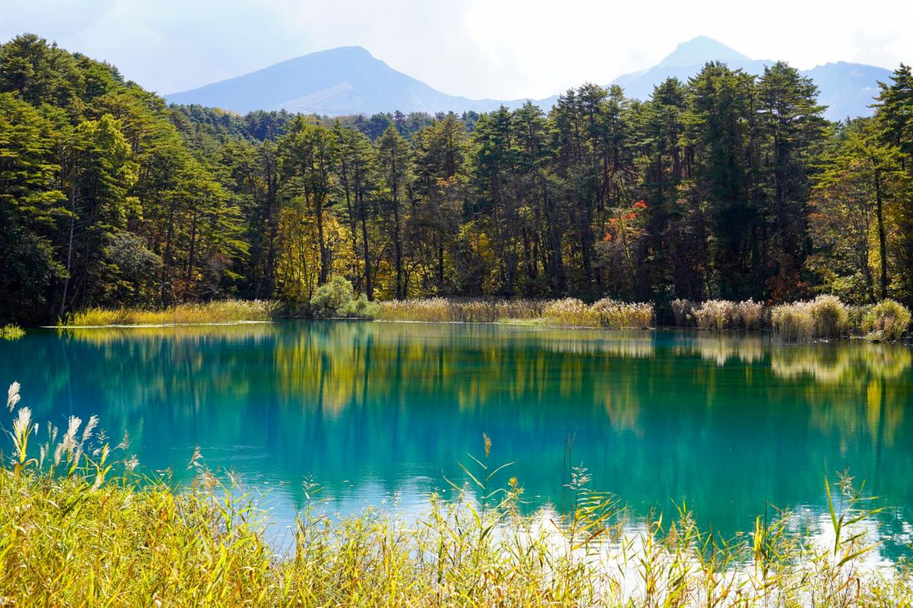 初秋の五色沼湖沼群　るり沼