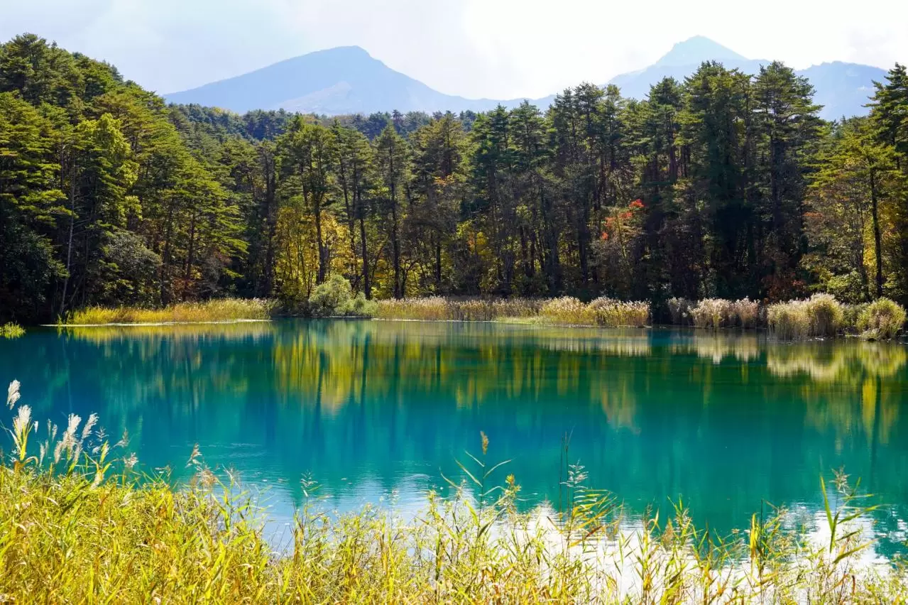 初秋の五色沼湖沼群　るり沼