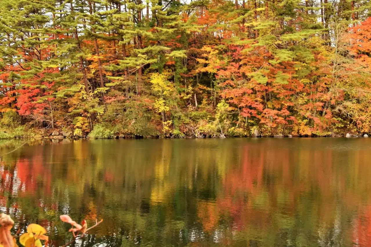 裏磐梯 五色沼の紅葉（柳沼）