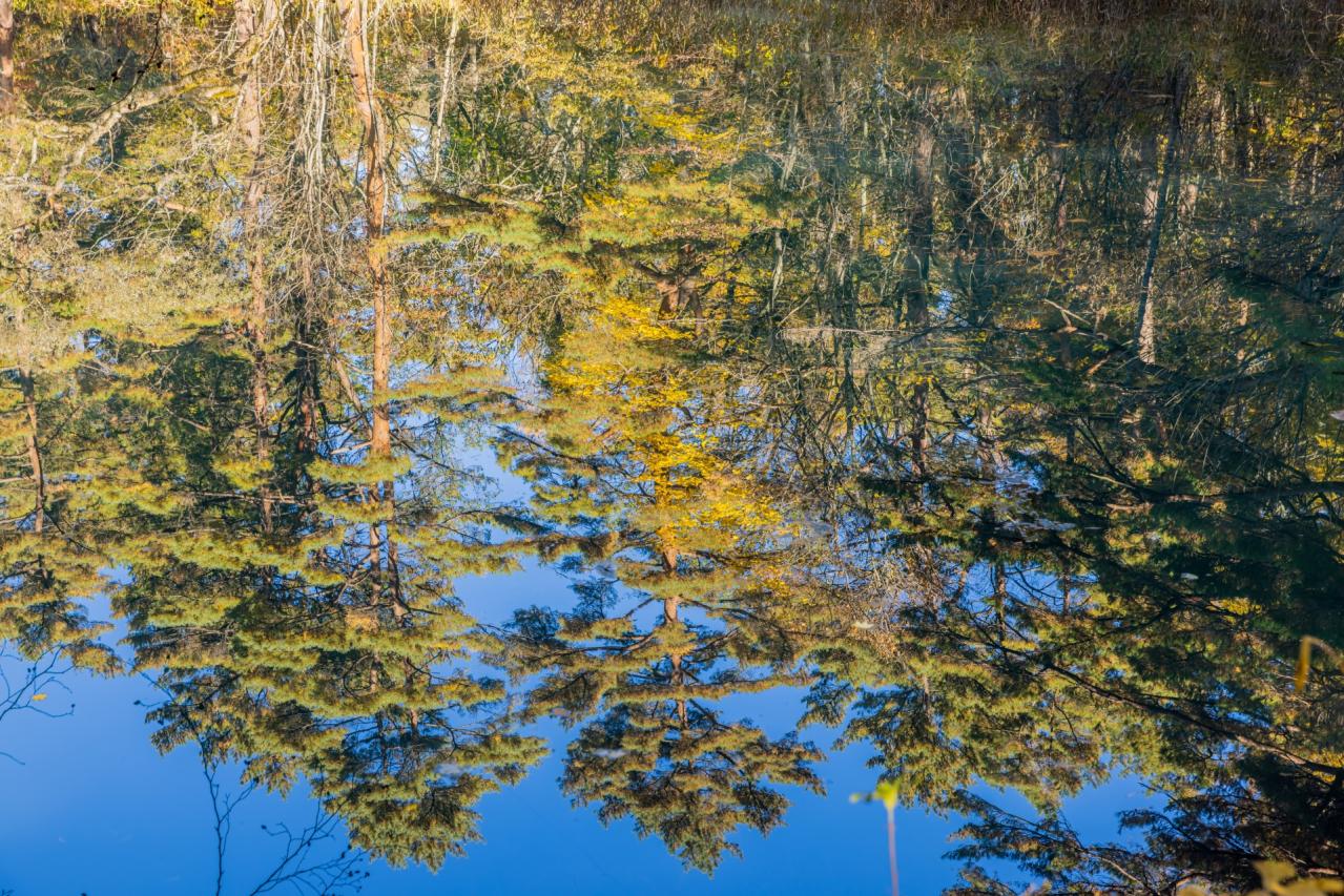 福島県　五色沼湖沼群・毘沙門沼の風景