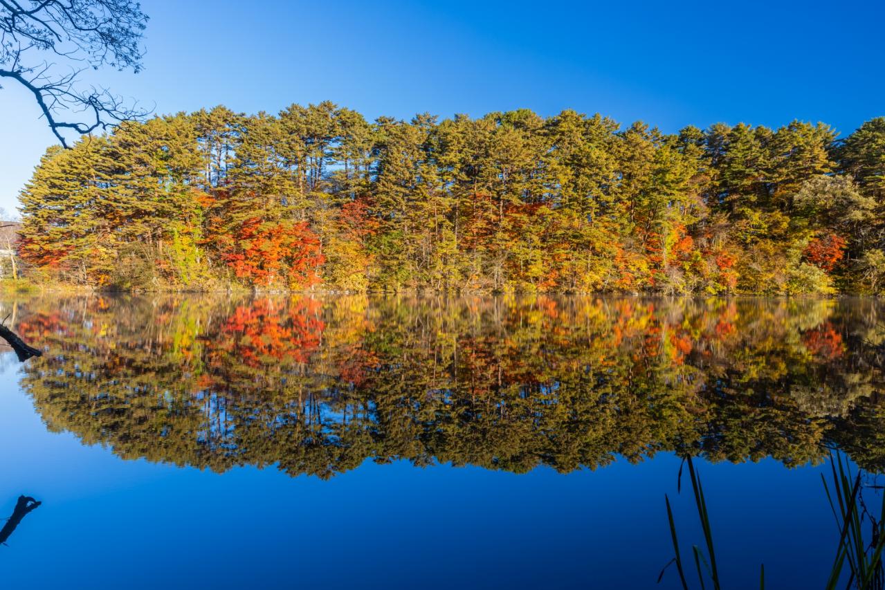 五色沼湖沼群・柳沼の風景