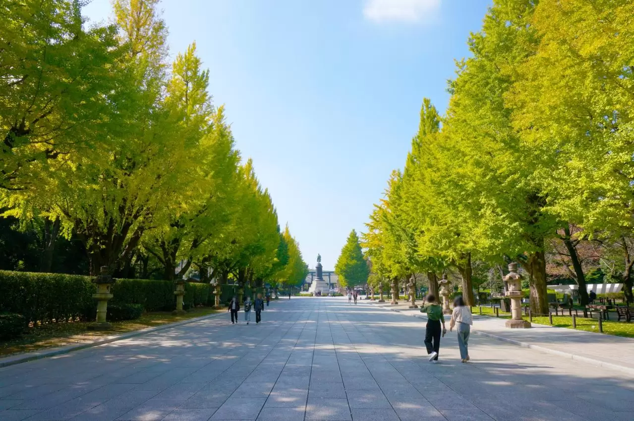 靖国神社の参道と並木
