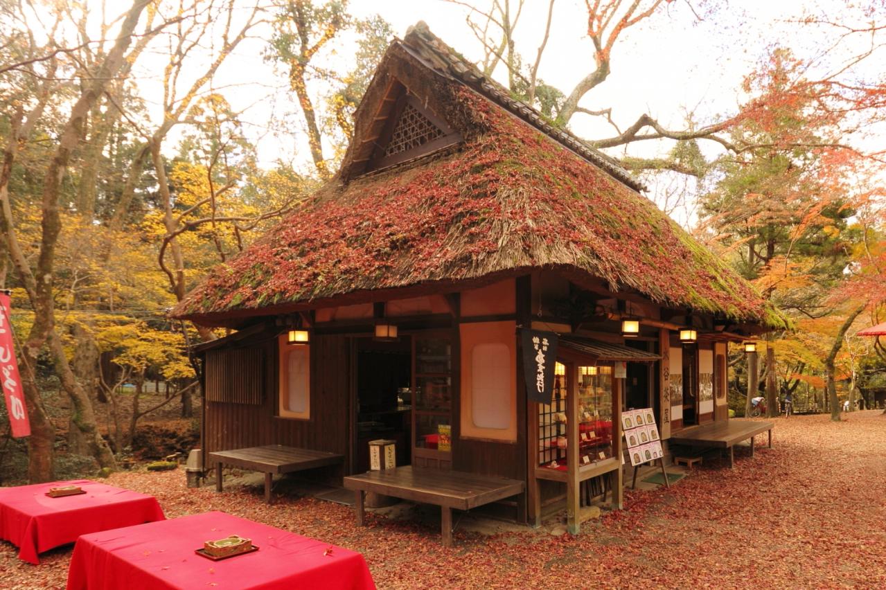 秋の奈良公園　水谷茶屋