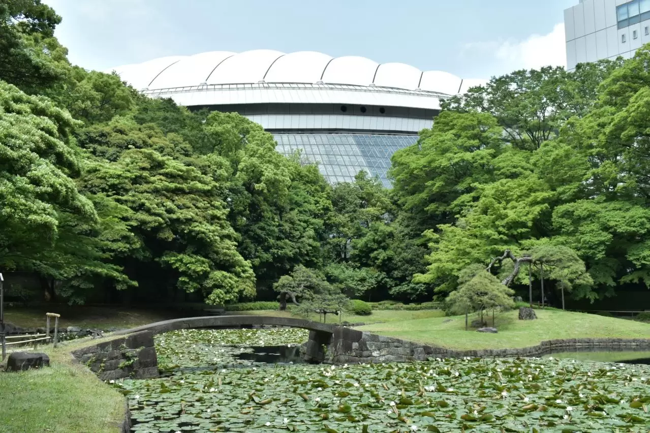 東京ドームと睡蓮