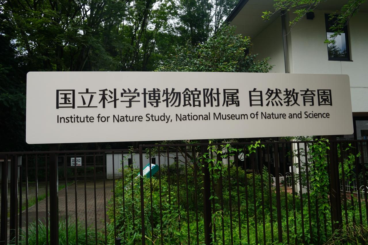 国立科学博物館附属自然教育園（植物園）