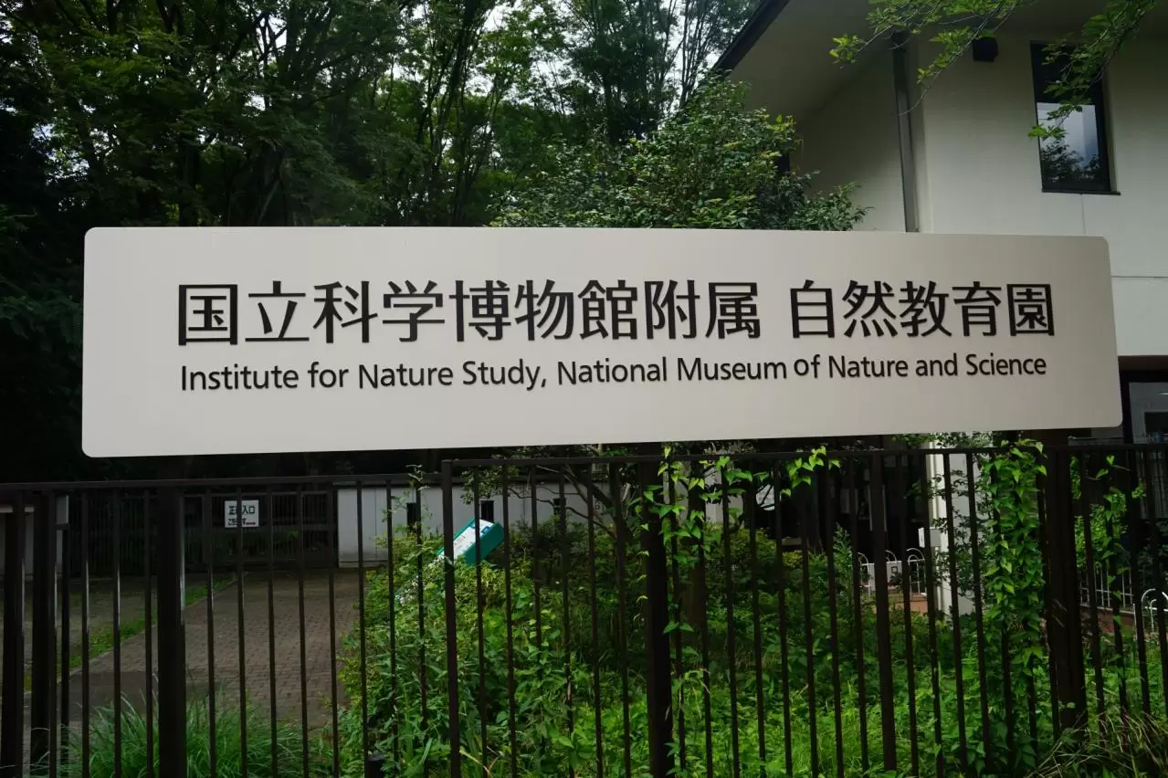国立科学博物館附属自然教育園（植物園）