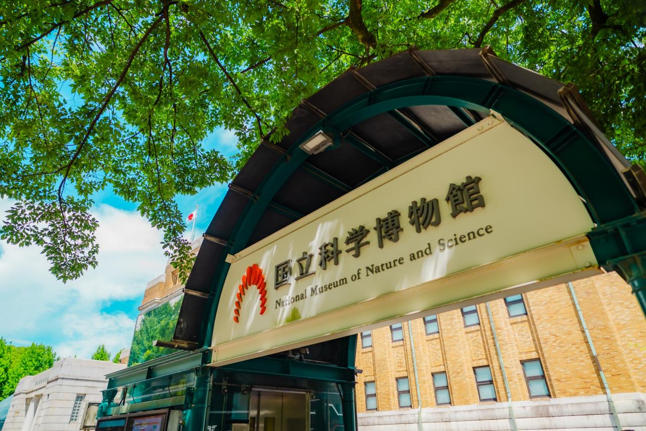 国立科学博物館 上野公園
